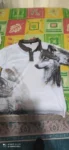 3D Wolf Eagle Print Men's Polo Shirt photo review